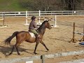 Direct Glenfiddich Jumping 3\