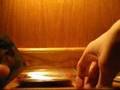 videos de Group Break- Absolute Memorabilia