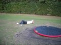 Head slam at the park - fail, head slam, painful, park, roundabout, funny