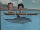 mesina video lasvegas.wmv mesina video lasvegas.wmv