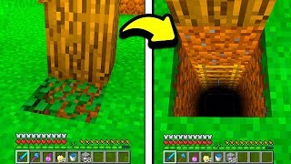 I was searching this forest when i found this... A LADDER! (minecraft Hide or Hunt)