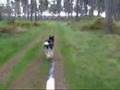 title="Thetford