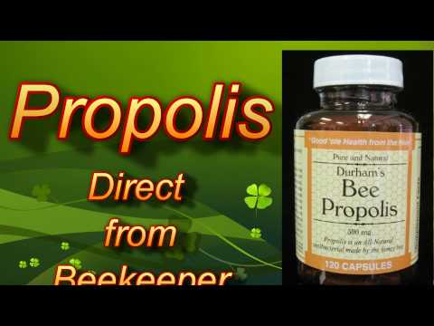 how to harvest royal jelly from bees