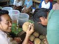 picking up a DURIAN picking up a DURIAN