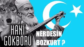 DOĞU TÜRKİSTAN 'DAN ÇAĞRI VAR - NERDESİN GÖKBÖRÜ ?
