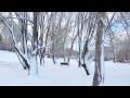 Beautiful Calgary Winter 2011 / Winter Song-Dreams ...