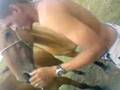 videos de Buga Psicopata de Animais, parte 2