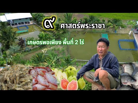 "สุดยอดสวรรค์บนดิน"แบ่งที่นามาทำเกษตรพอเพียง ในพื้นที่ 2 ไร่!! ทำตอนแรกมีแต่คนบอกมัน"เป็นไปไม่ได้"