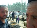 Kashgar livestock market