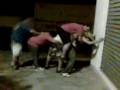 videos de Palha ou chumbo final despedida do Gabriel,e no final vcs ja sabem,fomos enquadrados