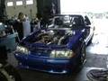 videos de Alfredo's Outlaw Mustang