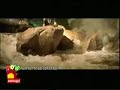 Naan Kadavul Trailer
