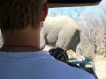 Mom & Baby Elephant