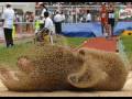 videos de Well Timed Photos
