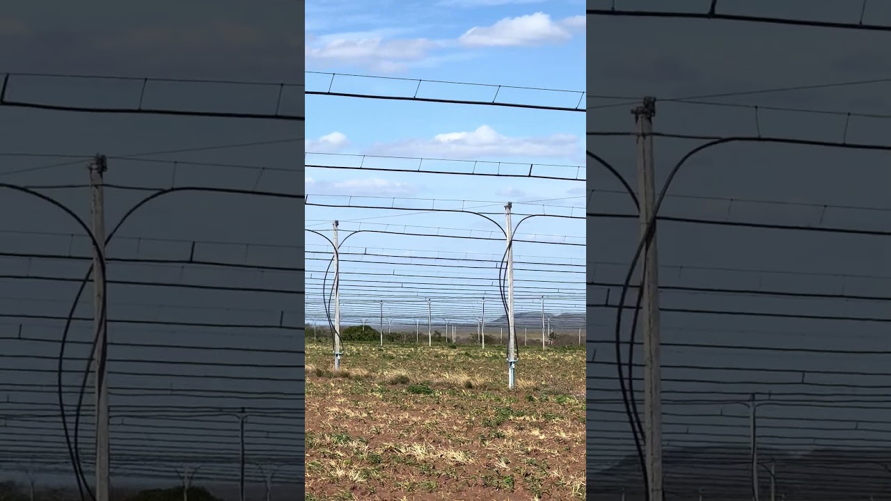 Pivô e um sistema de irrigação diferente