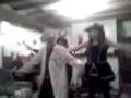 videos de Three thespians: dragostea din tei
