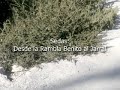 Sendas.avi
