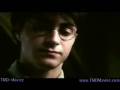 Harry Potter- Hitchin\