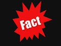 Science Is Fun