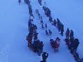 Yukon Quest 2008 - #2 Yukon Quest 2008 - #2