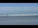 la torche le 19 octobre 2008 : les videos Surf