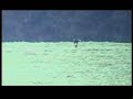 Adlerbeizjagd / hunting with eagles