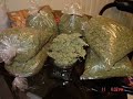 Young Dru - Ganja Stick Young Dru - Ganja Stick
