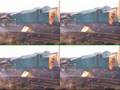 37003 Wolsingham 18-12-07
