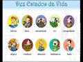 10 estados de vida