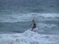 videos de Kiteboarding Session at Palmetto Pavillion