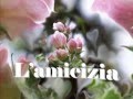 videos de RIFLESSIONI SULL' AMICIZIA