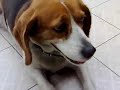 300 KB Bitrate?VGA mode?@3.5G  Apr 08 09:26
