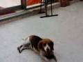 300 KB Bitrate(VGA mode)@3.5G Apr 08 09:26