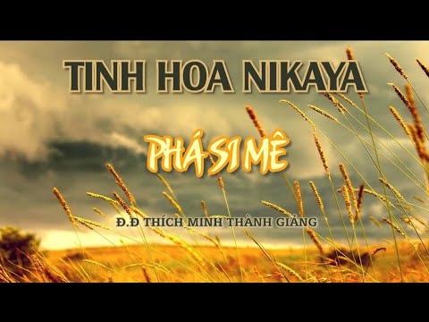 Tinh Hoa NIKAYA - Phá Si Mê 