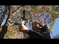 #1.2 Yoyoyo Acapulco - Indian Summer