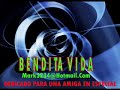 Bendita Vida
