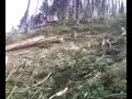 Click here to watch this video Logging on Granstrom Road Part 8