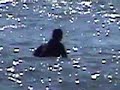 Surf Portugal bolina po�a