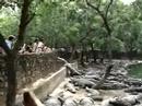 Feeding the Crocodiles