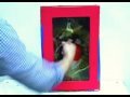 Shattering glass! Backyard FX's DIY sugar glass