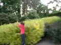 saut dans les buissons !
