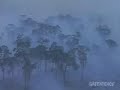Shocking images from Amazon jungle