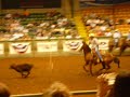 Dallas Rodeo Stockyards