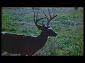 Sasquatch: The Legend of Bigfoot Intro 1975