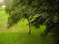 Gradobicie nad Katowicacmi