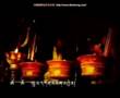 根呷-感恩Tibet song