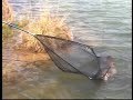 Big Carp in France, Grote karper in Frankrijk