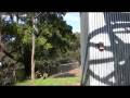 videos de Oakland Zoo Gondola Turn Around (HD test)