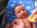 Avie getting her first bath.  Part II
