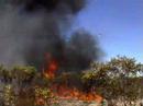 Bushfire aerial suppression test at See video